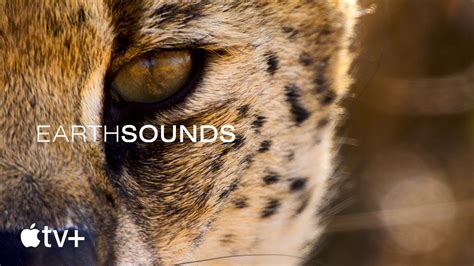 Earthsounds — Official Trailer .